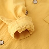 billiga T-shirts och skjortor för pojkar-Pojkar 3D Ensfärgat Skjortor Långärmad Sommar Vår Mode Grundläggande Lilla barn (4-7år) 4-7 år Tröjkrage Utomhus Ledigt Dagligen Normal