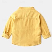 billiga T-shirts och skjortor för pojkar-Pojkar 3D Ensfärgat Skjortor Långärmad Sommar Vår Mode Grundläggande Lilla barn (4-7år) 4-7 år Tröjkrage Utomhus Ledigt Dagligen Normal