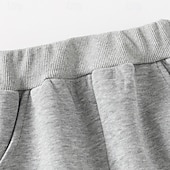 billiga Kläder för pojkar-Pojkar 3D Tecknat Dinosaurie Sportdräkt Träningsoveraller Sweatshirt set Långärmad Vår Höst Dagligen Ledigt Komfort Barn 4-7 år Rund hals Utomhus Semester Sport Skräddarsydd passform