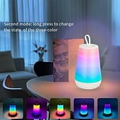 economico Luci intelligenti-Luce notturna colorata portatile LED Smart Light luce notturna con ricarica USB funzione dimmerabile tattile adatta per una varietà di scene