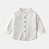 billiga T-shirts och skjortor för pojkar-Pojkar 3D Ensfärgat Skjortor Långärmad Sommar Vår Mode Grundläggande Lilla barn (4-7år) 4-7 år Tröjkrage Utomhus Ledigt Dagligen Normal