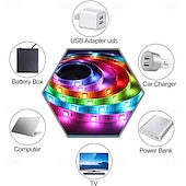 economico Strisce luminose USB-1 m 2m 3M Set luci 30-300 LED 5050 SMD 10mm 1 telecomando da 24Keys 1 set RGBIC (Colore sogno indirizzabile) Strisce LED Controllo APP Impermeabile Collagabile Alimentazione USB