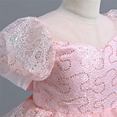 cheap Flower Girl&#039;s Dresses-Flower Girl Dress Girls&#039; Party Dress Performance Wedding Party Princess Beautiful Sweet Sequins Mesh Solid Color Short Sleeve Crew Neck White Pink 4-12 Years