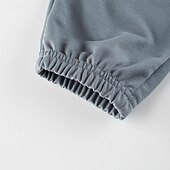 お買い得  ボトムス-男の子 3D 恐竜 パンツ スウェットパンツ 春 秋 活発的 ベーシック 子供 4年以上 アウトドア スポーツ カジュアル レギュラー