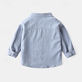 billiga T-shirts och skjortor för pojkar-Pojkar 3D Ensfärgat Skjortor Långärmad Sommar Vår Mode Grundläggande Lilla barn (4-7år) 4-7 år Tröjkrage Utomhus Ledigt Dagligen Normal