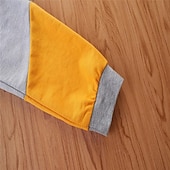 billiga Kläder för pojkar-2 delar Småbarn Pojkar Huvtröja &amp; träningsbyxor Set Utrusta Tecknat Långärmad Crewneck Uppsättning Skola Mode Dagligen Höst 4-7 år Gul