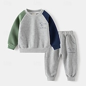 billiga Kläder för pojkar-Pojkar 3D Tecknat Dinosaurie Sportdräkt Träningsoveraller Sweatshirt set Långärmad Vår Höst Dagligen Ledigt Komfort Barn 4-7 år Rund hals Utomhus Semester Sport Skräddarsydd passform