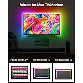 economico Strisce luminose USB-1 m 2m 3M Set luci 30-300 LED 5050 SMD 10mm 1 telecomando da 24Keys 1 set RGBIC (Colore sogno indirizzabile) Strisce LED Controllo APP Impermeabile Collagabile Alimentazione USB