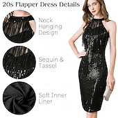 preiswerte 1920er Kleider-Goldene Zwanziger 1920er Knielang Kleid Flapper Kleid Outfits Ärmellos Der große Gatsby Charleston Hochzeitsgast Pailletten Quastenfransen Feder Neckholder Kostüm Damen Neujahr Maskerade