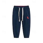 cheap Bottoms-Boys 3D Dinosaur Pants Sweatpants Spring Fall Active Basic Kids 4 years+ Outdoor Sport Casual Regular Fit