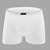 cheap Men&#039;s Boxers Underwear-Men&#039;s 1 PCS Boxers Underwear Boxer Shorts Mesh Nylon Breathable Soft Comfortable Plain Mid Rise Black White