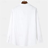 economico Camicie Popover da Uomo-Per uomo Camicia Camicia popover Camicia Estiva Camicia casual Camicia da Spiaggia Nero Bianco Verde chiaro Azzurro Manica Lunga Semplice Colletto alla coreana Vacanza Camicia hawaiana Bottonato