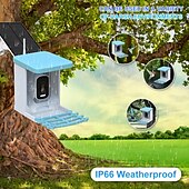 رخيصةأون كاميرات شبكات IP خارجية-مغذي طيور ذكي مع كاميرا 4 ميجا بكسل، سعة 2 لتر، مغذي طيور للاستخدام في الهواء الطلق مع لوحة شمسية