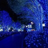 お買い得  太陽光発電-ソーラーパワーのカラフルなストリングライト 39.37フィート/12メートル 100個のLED付き 8つの照明モード 防水 屋外装飾 ハロウィン ガーデンパーティー 休日 ソーラーストリングライト 屋外 屋内装飾 1/2個