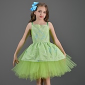 economico Costumi per bambine-Inside Out 2 Principessa Disgusto GIOIA Abiti Costume Tutu Cosplay Cosplay di film for Ragazze Bambini Giornata universale dell&#039;infanzia Mascherata Festa / Sera