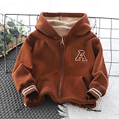 voordelige Bovenkleding-Jongens 3D Brief Trui met capuchon Jas Overkleding Lange mouw Herfst Winter Streetwear Sport Basic Kinderen 4-8 jaar Vakantie Urheilu Dagelijks Normale pasvorm