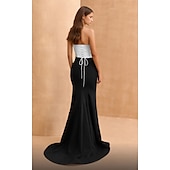 abordables NOIR-Robe de soirée sirène Noire Corsets Robe Formelle Longueur au sol Sans manches Sans bretelles Crêpe extensible Sans dos avec fronces Robe de bal masqué