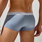 cheap Men&#039;s Boxers Underwear-Men&#039;s 1 PCS Boxers Underwear Boxer Shorts Patchwork Nylon Breathable Soft Comfortable Color Block Mid Rise Black White