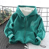 voordelige Bovenkleding-Jongens 3D Brief Trui met capuchon Jas Overkleding Lange mouw Herfst Winter Streetwear Sport Basic Kinderen 4-8 jaar Vakantie Urheilu Dagelijks Normale pasvorm