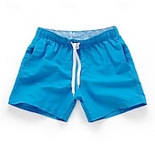 billige svømmeshorts for menn-Herre Surfeshorts Badeshorts Snorer Elastisk midje Elastisk snordesign Ensfarget Hurtigtørkende Sport Kort Daglig Ut på byen Strand Gatemote Fritid Svart Hvit Mikroelastisk
