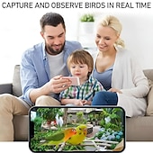 זול מצלמות רשת IP חיצוניות-wifi סולארי מזין ציפורים חכם עם מצלמת 1080p טכנולוגיית ראיית לילה חדשה ai זיהוי תנועה של מיני ציפורים התראה בזמן אמת עם חיבור לאפליקציה
