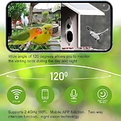 זול מצלמות רשת IP חיצוניות-wifi סולארי מזין ציפורים חכם עם מצלמת 1080p טכנולוגיית ראיית לילה חדשה ai זיהוי תנועה של מיני ציפורים התראה בזמן אמת עם חיבור לאפליקציה