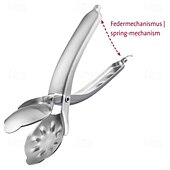 abordables Utensilios de cocina y gadgets-Abridor de cáscaras de castañas de acero inoxidable con hoja dentada: herramienta de pelado transversal fácil para asar  &amp; hornear - apto para lavavajillas