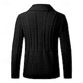 preiswerte Herren Strickjacke-Herren Strickjacke Kurzer Pullover Strickpullover Gerippt Stricken Standard Knopf hoch Tasche Glatt Schalrevers Modisch Klassisch Freizeitskleidung Verabredung Bekleidung Herbst Winter Schwarz
