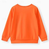 billiga Pojkes Halloween kostymer-Halloween Pojkar 3D Grafisk Spöke Tröja Långärmad Vår Höst Mode Grundläggande Polyester Barn 4-12 år Rund hals Utomhus Ledigt Dagligen Normal