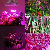 お買い得  植物育成ライト-フルライト植物ランプ、リモコン付き、アルミ合金植物成長電球、E27 50W、高出力、赤/青/太陽色調整、タイミング機能、85-265V、1個