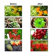 お買い得  植物育成ライト-フルライト植物ランプ、リモコン付き、アルミ合金植物成長電球、E27 50W、高出力、赤/青/太陽色調整、タイミング機能、85-265V、1個