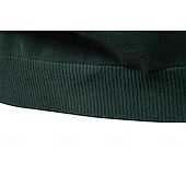 preiswerte Herren Elite Pullover &amp; Cardigans-Herren Pullover Reißverschluss-Pullover Gerippt Stricken Normale Oberteile Reißverschluss Einfarbig Gerollter Kragen Strickware Täglich Outdoor Sport &amp; Outdoor Bekleidung Frühling &amp; Herbst Schwarz