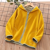 billiga Pojkars utomhusjackor-Unisex Pojkar Flickor 3D Färgblock Kappa Ytterkläder Långärmad Höst Vinter Streetwear Sport Grundläggande Barn 4-12 år Semester Sport Dagligen Normal