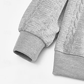 お買い得  ベーシックスウェットシャツ-男性用 スウェットシャツ クォータージッパースウェットシャツ ブラック ホワイト ネイビーブルー カーキ色 ライトグレー ハーフジッパー 平織り リブ テクスチャード加工 ニットテクスチャ スポーツ 日常 祝日 ポリエステル テクスチャー ストリートファッション ベーシック カジュアル 春 &amp; 秋 衣類 パーカー トレーナー 長袖