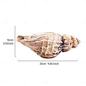 cheap Vases &amp; Basket-Seashell Shaped Resin Vase, 9.8-Inch Bohemian Tabletop Flower Vase, Indoor Decorative Hydroponic Planter for Home Decor and Gifts