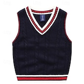cheap Sweaters &amp; Cardigans-Kids Boys Sweater Color Block Sleeveless Patchwork School Daily White Fall Clothes 4 years+