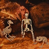 cheap Novelty &amp; Gag Toys-Spooky Skeleton Frog - Perfect For Halloween Decor &amp; Party Props, Durable Plastic, No Power Needed