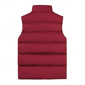 economico Gilet-Per uomo Gilet imbottito Quotidiano Casual Autunno &amp; Inverno Tasca con cerniera Poliestere Confortevole Semplice Cerniera Collo alla coreana Vestibilità regolare Nero Borgogna Cachi Blu scuro Gilet