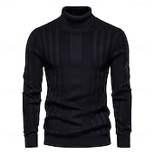 preiswerte Herrenpullover-Männlich Rollkragenpulli Pullover Zur Seite fahren Stricken Standard Solide / einfarbig Rollkragen Brautkleider schlicht Casual Bekleidung Winter Herbst Winter Schwarz Gelb S M L