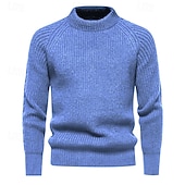 preiswerte Herrenpullover-Herren Pullover Gerippt Stricken Normale Oberteile Strick Schmaler Schnitt Glatt Rundhalsausschnitt Moderne zeitgenössische Arbeit Freizeitskleidung Bekleidung Winter Schwarz Blau M L XL