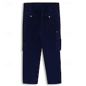 voordelige Cargobroeken-Voor heren Cargohosen Broek Elastische taille Zak met rits Recht been Effen Comfort Zacht Volledige lengte Buiten Dagelijks Uitgaan Modieus Streetwear Zwart blauw