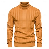 preiswerte Herrenpullover-Männlich Rollkragenpulli Pullover Zur Seite fahren Stricken Standard Solide / einfarbig Rollkragen Brautkleider schlicht Casual Bekleidung Winter Herbst Winter Schwarz Gelb S M L