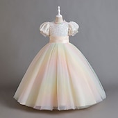 abordables Vestidos de fiesta-Niños Chica Vestido de Fiesta Color sólido Manga Corta Ocasión especial Princesa Poliéster Vestido de Fiesta Verano Primavera 2-12 años 4 años + Champaña Rosa Azul Piscina