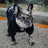 abordables Sweats à capuche-Chien Pulls à capuche Mode Hiver Chaud Mode Confortable Extérieur Tenue Quotidienne Intérieur Vêtements pour Chiens for Petit Moyen Grand