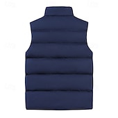 economico Gilet-Per uomo Gilet imbottito Quotidiano Casual Autunno &amp; Inverno Tasca con cerniera Poliestere Confortevole Semplice Cerniera Collo alla coreana Vestibilità regolare Nero Borgogna Cachi Blu scuro Gilet