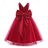 billige Blomsterkjoler-Blomsterpikekjole Barn Jente Prinsesse kjole Ytelse Bryllup Fest Elegant Vakker Netting Helfarge Ermeløs V-hals Hvit Rosa 4 år +