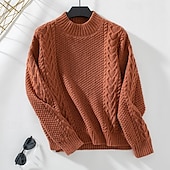 voordelige Effen kleuren-Dames Trui Elegant Modieus Dagelijks Effen Kleur Onechte nek Gebreid Lange mouw Normale tops breien Werk Rood Bruin Beige Herfst Winter