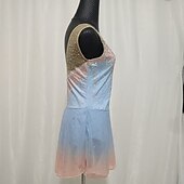 cheap Figure Skating Dresses-Figure Skating Performance Costume Children&#039;s Adult Rhythmic Skating Skirt Sports Skirt Kosten Training Costume