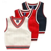 cheap Sweaters &amp; Cardigans-Kids Boys Sweater Color Block Sleeveless Patchwork School Daily White Fall Clothes 4 years+