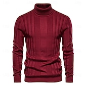 preiswerte Herrenpullover-Männlich Rollkragenpulli Pullover Zur Seite fahren Stricken Standard Solide / einfarbig Rollkragen Brautkleider schlicht Casual Bekleidung Winter Herbst Winter Schwarz Gelb S M L
